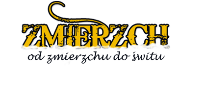Zmierzch - Noclegi w Lublinie